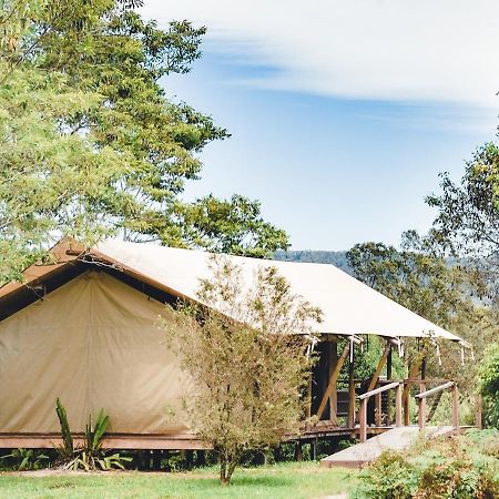 Silk Pavilions Glamping Mount Burrell Екстер'єр фото