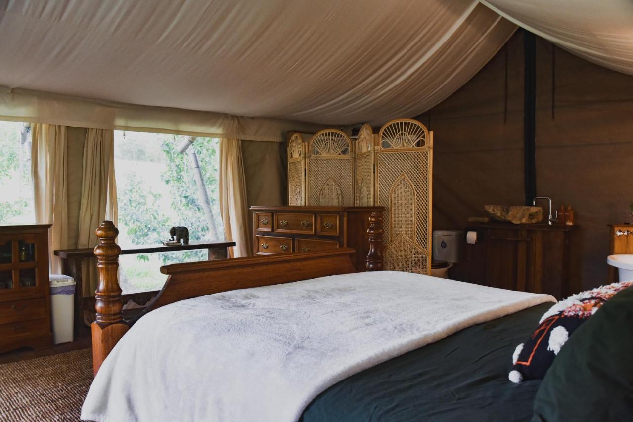 Silk Pavilions Glamping Mount Burrell Екстер'єр фото