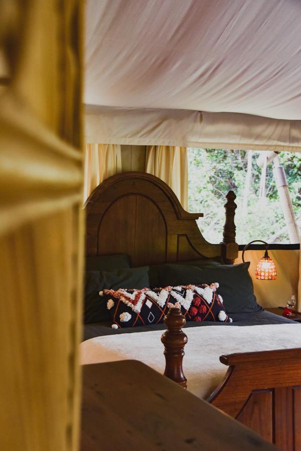 Silk Pavilions Glamping Mount Burrell Екстер'єр фото
