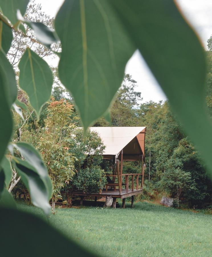 Silk Pavilions Glamping Mount Burrell Екстер'єр фото