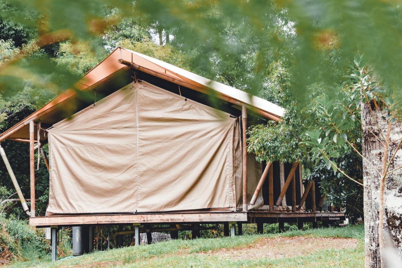 Silk Pavilions Glamping Mount Burrell Екстер'єр фото