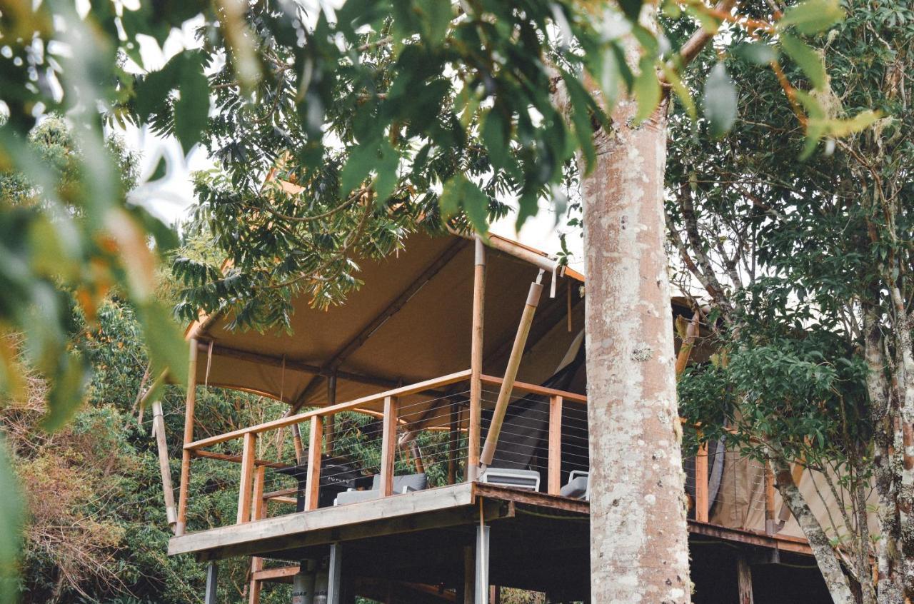 Silk Pavilions Glamping Mount Burrell Екстер'єр фото